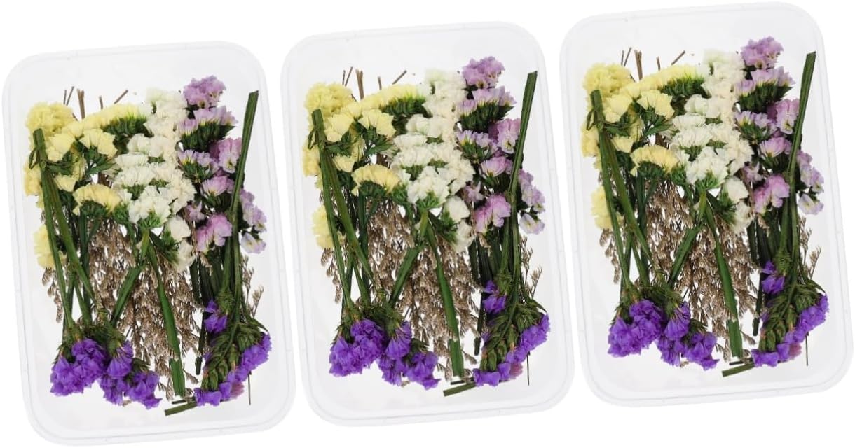 Cabilock 3 Boxes Candle Dried Flower Dried Flower Art Party Dried Flower Dining
