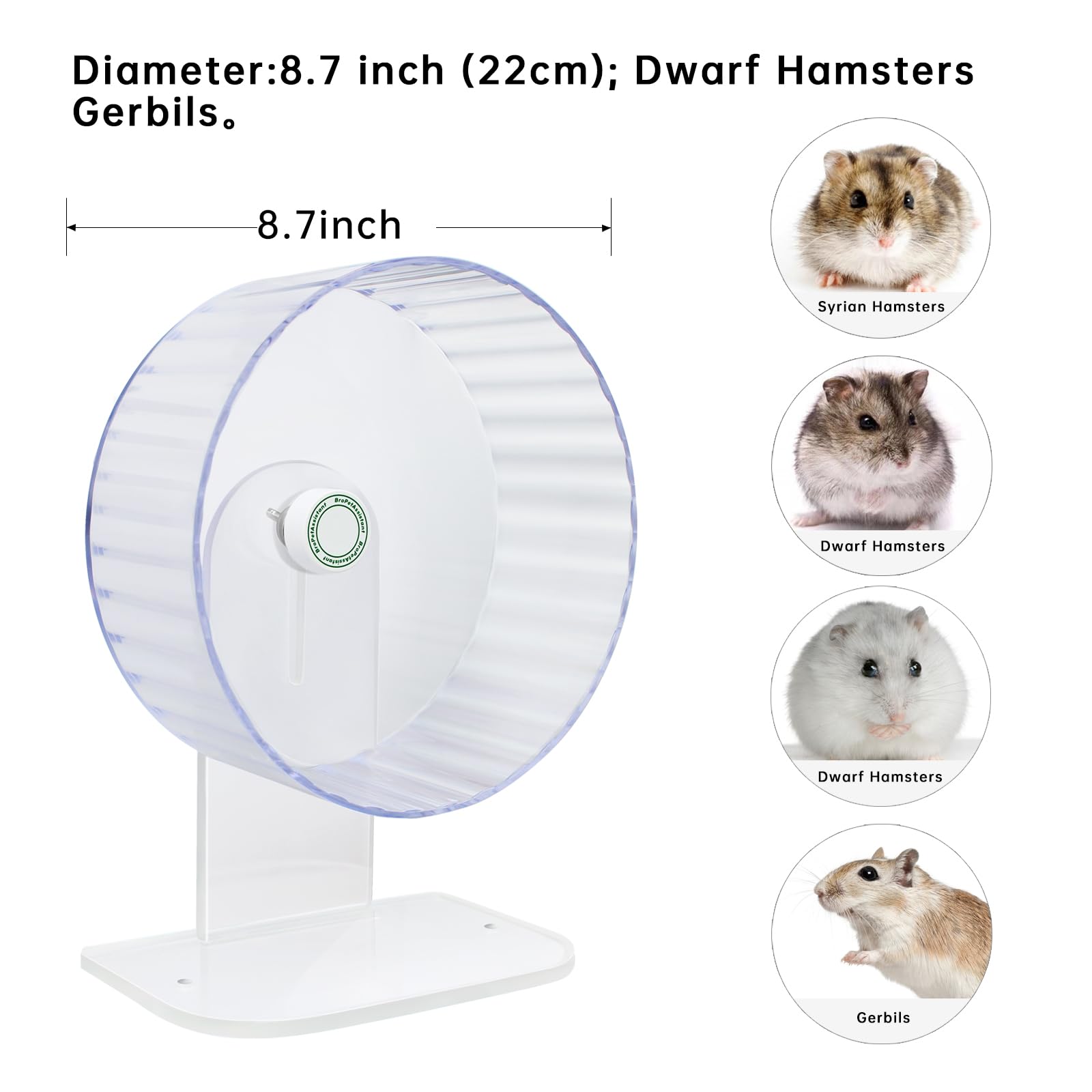Silent Hamster Wheels - Syrian Hamster Wheel, Hamster Wheel Car, 10.2 Inch Hamster Wheel, Fully Transparent, Height Adjustable, Quiet Wheels for Various Small Animals (Large) - image 2