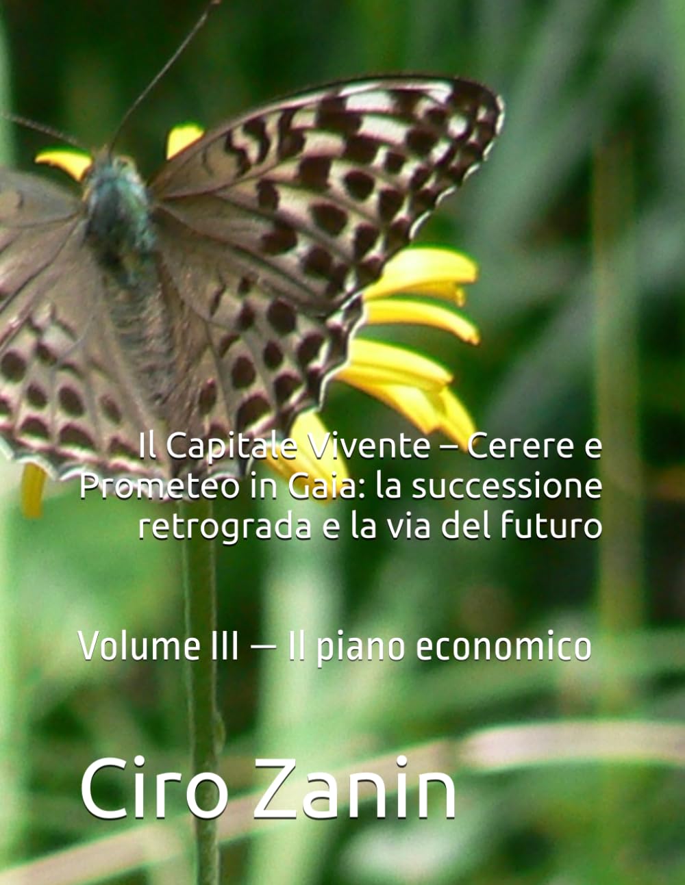 Il Capitale Vivente – Cerere e Prometeo in Gaia: la successione retrograda e la via del futuro: Volume III — Il piano economico