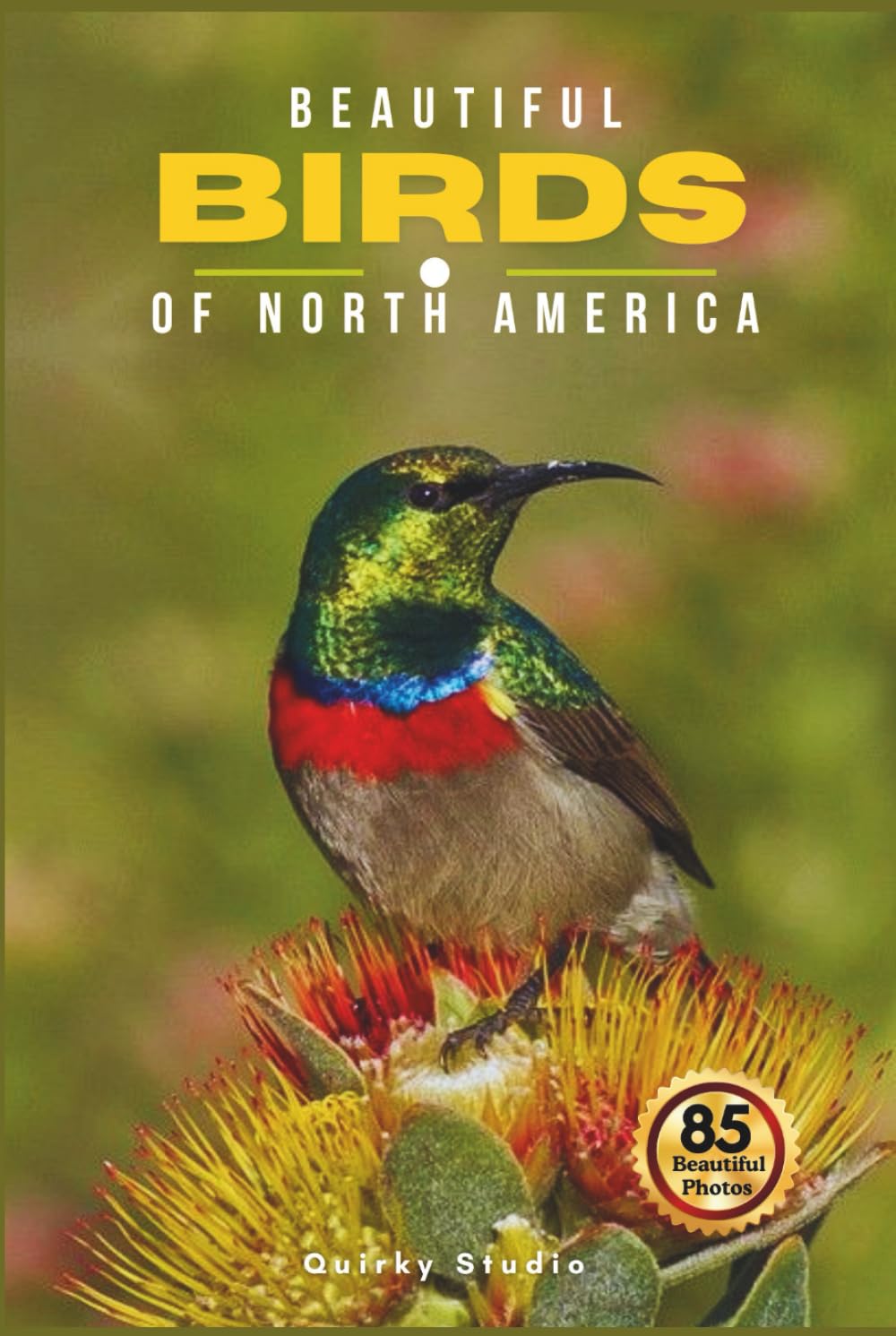 Beautiful Birds of North America: A Calming Coffee Table Photo Collection for Seniors with Dementia, Alzheimer’s, Memory Care, and All Bird Lovers