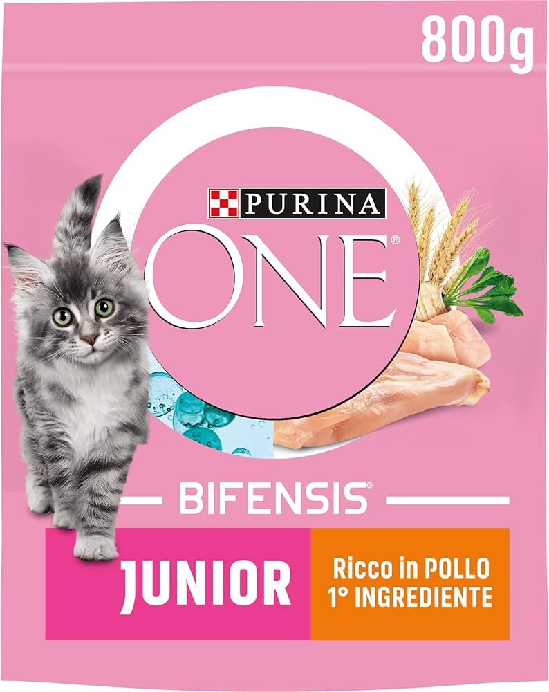 Purina One Bifensis Junior Croquetas Gatos 1-12 Meses Pollo y Cereales, 8 Paquetes de 800 g
