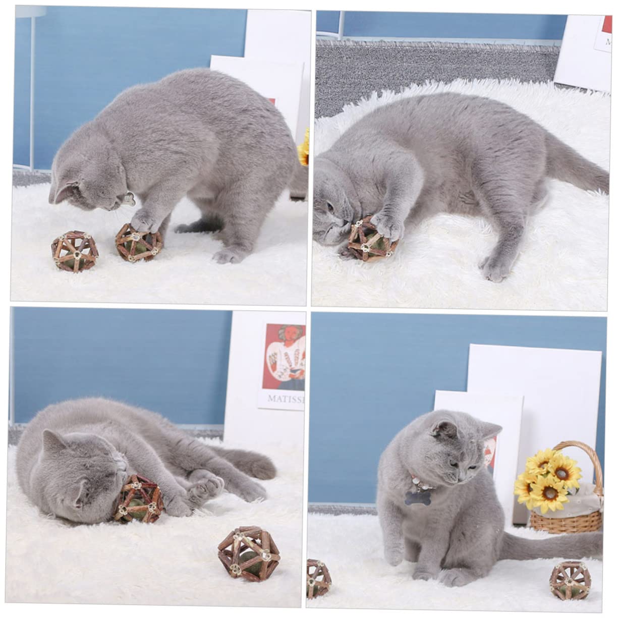 Toddmomy 12pièces Jouets à Mâcher pour Chats Herbe à Chat Boules De Catnip Actinidia Polygama pour Nettoyer Les Dents Et Améliorer La Digestion