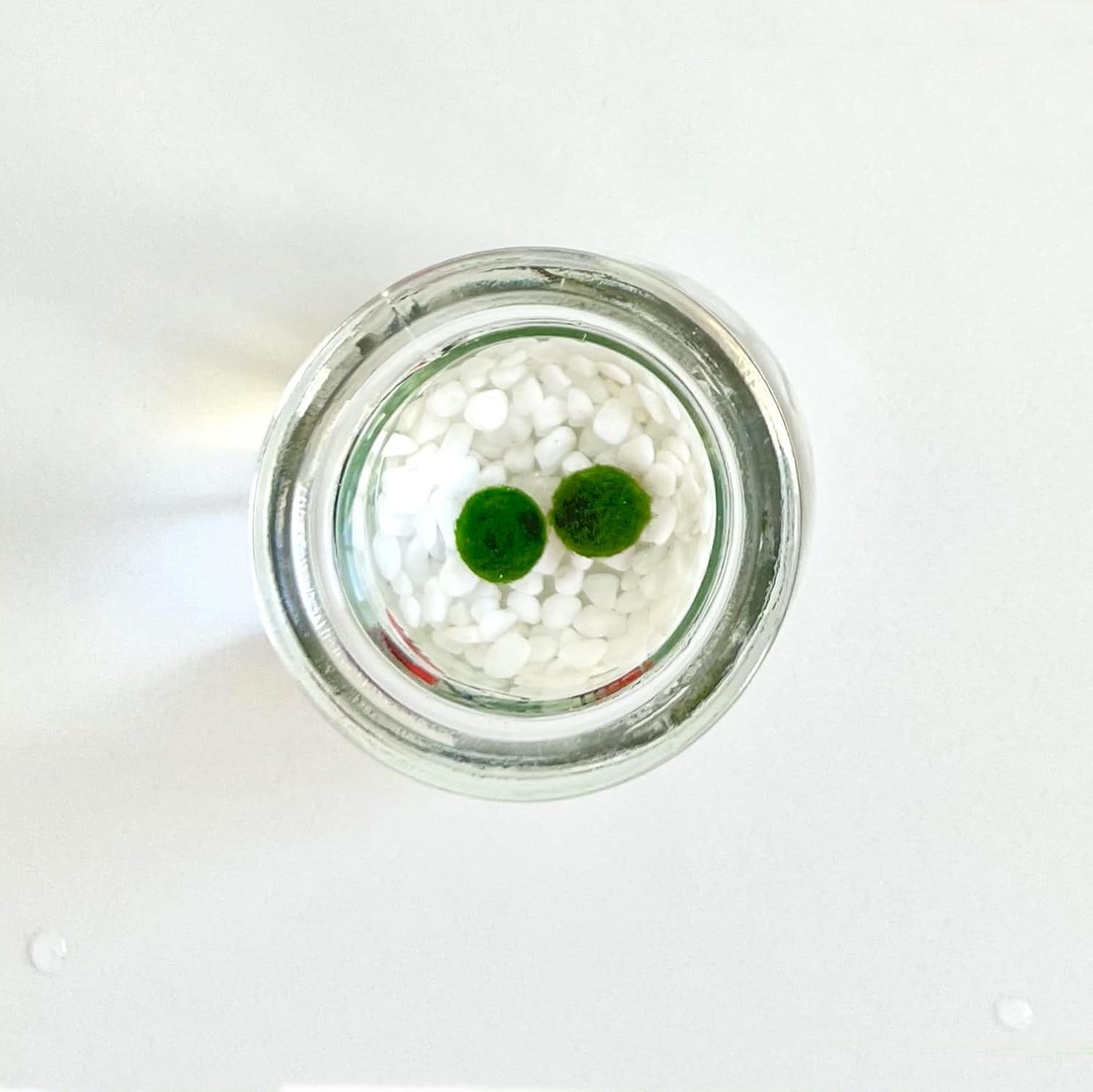 Desktop Aquarium Set Cute Face Glass Jar with Cork, 2pcs Live Aqua Balls, DIY Terrarium Gift (5 Sets)