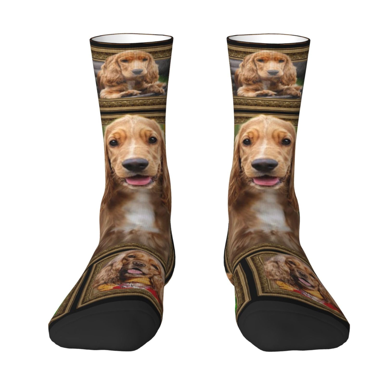 Fwjzdsp Unisex Cocker Spaniel Dog Socks Noveltys Athletic Calf Socks For Adult Men Women