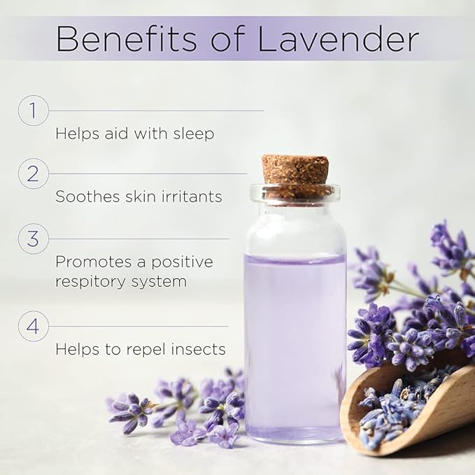 Aceite Esencial de Lavanda Radha Beauty 4 oz - 100% Natural miniatura 3