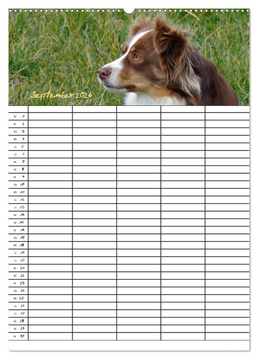 Bauernhoftiere Familienplaner (hochwertiger Premium Wandkalender 2026 DIN A2 hoch), Kunstdruck in Hochglanz: Nutz- und Haustiere (CALVENDO Tiere)