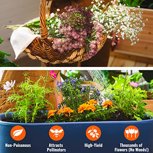 Variety Pack (23) Of 64,000 Non Gmo Wildflower Seeds For Bees, Hummingbird, Butterflies And Pollinators - With Growing Guide For Gardeners From Germination To Flowers - Bulk Seeds - By Open Seed Vault #TOP4