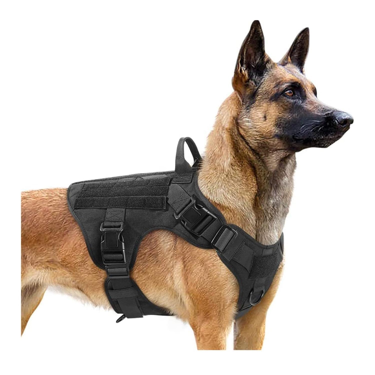 Xigwig Tactical Dog Harness for Large Dogs, Heavy Duty Dog Harness with Handle, No-Pull Service Dog Vest Large Breed, Adjustable Military Dog Vest Harness for Training Hunting Walking, Black (Large) (B0DB82VPXV) Amazon Price History, Amazon Price Tracker