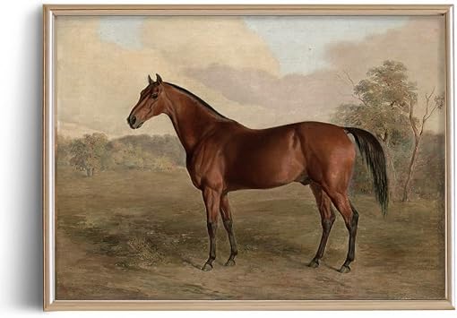 Rustic Farmhouse Wall Art Decor - 11x14" - Boho Landscape Pictures - French Country Kitchen Print Poster - Neutral Aesthetic Vintage - Horse Equine Pony Equestrian Painting - Art Deco Victoria Antique