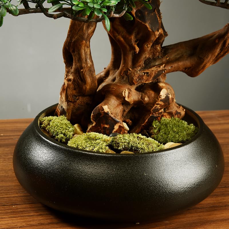 Bonsái artificial de pino sin riego plantas artificiales interior 5