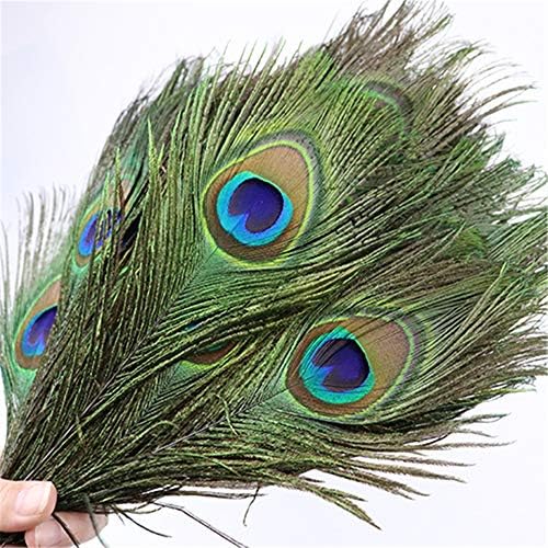 FEARAFTS Natural Peacock Feathers Value Pack - DIY for Kids' Arts and Crafts, Projects, Dress-Up Home Wedding Decorations and More (Pack of 50),Assorted, 10-12 Inch