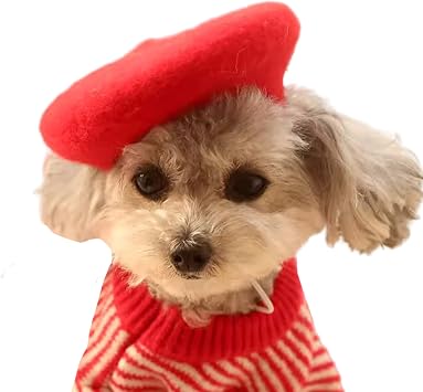 Dog Cat Beret Wool Hat Headband French Artist Beanie Beret Pet Dog Christmas Costume Hair Accessory Photo Props Red, One Size
