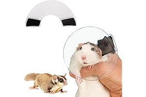Guinea Pig Cone - Cozy Recovery Collar for Post-Surgery Healing