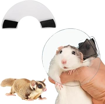 2PC Sugar Glider Recovery Collar Adjustable Protection Cone Soft Recovery Collar for Rat Bird Hamster Rabbit Guinea Pig After Surgery Wound Healing Elizabeth Neck E Collar L 11-14cm