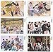 K-POP Group 2019 New Photo Message Card 56pcs set (Postcard / 56sheets) (STRAYKIDS)
