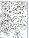 Flowers Coloring Book: Beautiful Pictures from the Garden of Nature (Chartwell Coloring Books, 2)