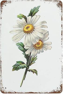 Tin Sign Flowers White Daisy with Dew Drop Metal Sign Retro Wall Decor