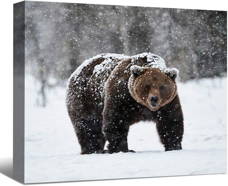 SENEW Animal Canvas Wall Art for Bedroom, Living Room, Office, Black Bear Framed Canvas Art for Home Decor,24" x 16"