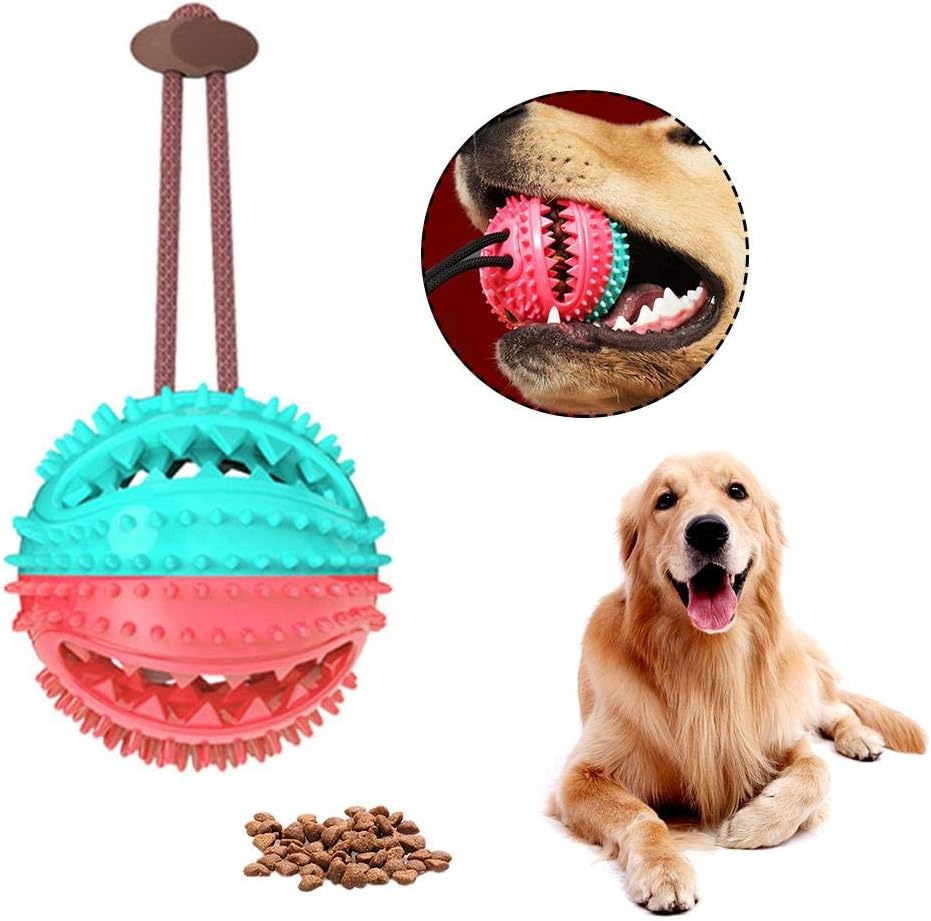 campana a sfera per cani