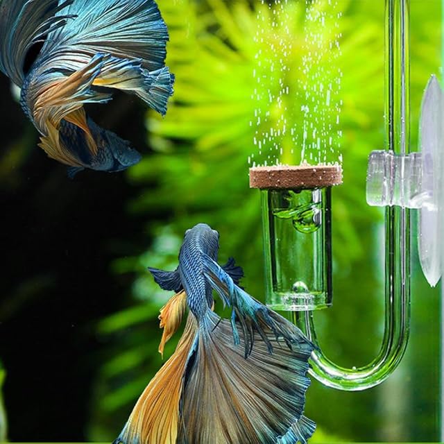 Foto 8 de 8 de Difusor atomizador de CO2, difusor acrílico nano reactor de CO2 con ventosa para acuario plantado pecera