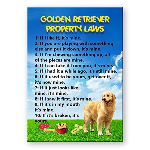 Golden Retriever Property Laws Fridge Magnet