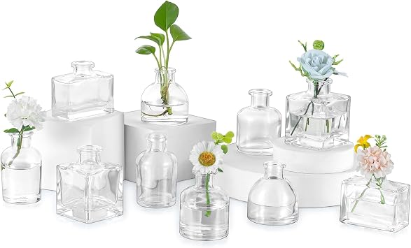Glasseam Mini Glass Bud Vases Small Clear Vases for Centerpieces Cute Tiny Flower Vase Set of 10 for Flowers Modern Centerpiece Decor for Wedding Party Dining Room Decoration