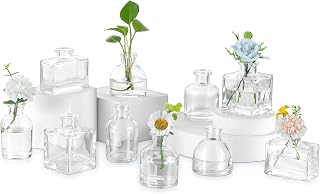 Glasseam Mini Bud Vases for Flowers, 10Pcs Clear Glass Vase for Centerpiece