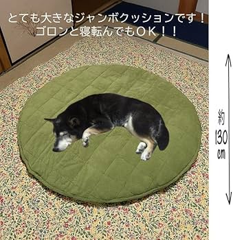Amazon.co.jp: 超大判クッション 座布団クッションベビーマット