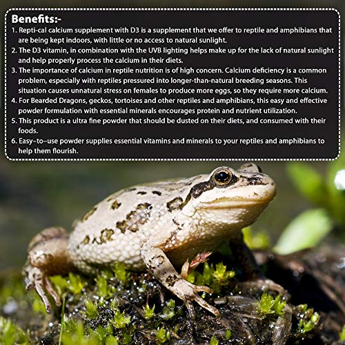 Image of Pet Care International (PCI) Repti-Cal || Provide Essential Calcium & Vitamin D3 || Healthy Reptile and Amphibians Healthcare (250 Grm, Repti Cal)