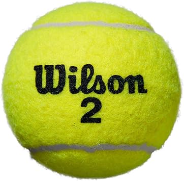 WILSON Grand Slam XD Tennis Ball - 3 Ball Can