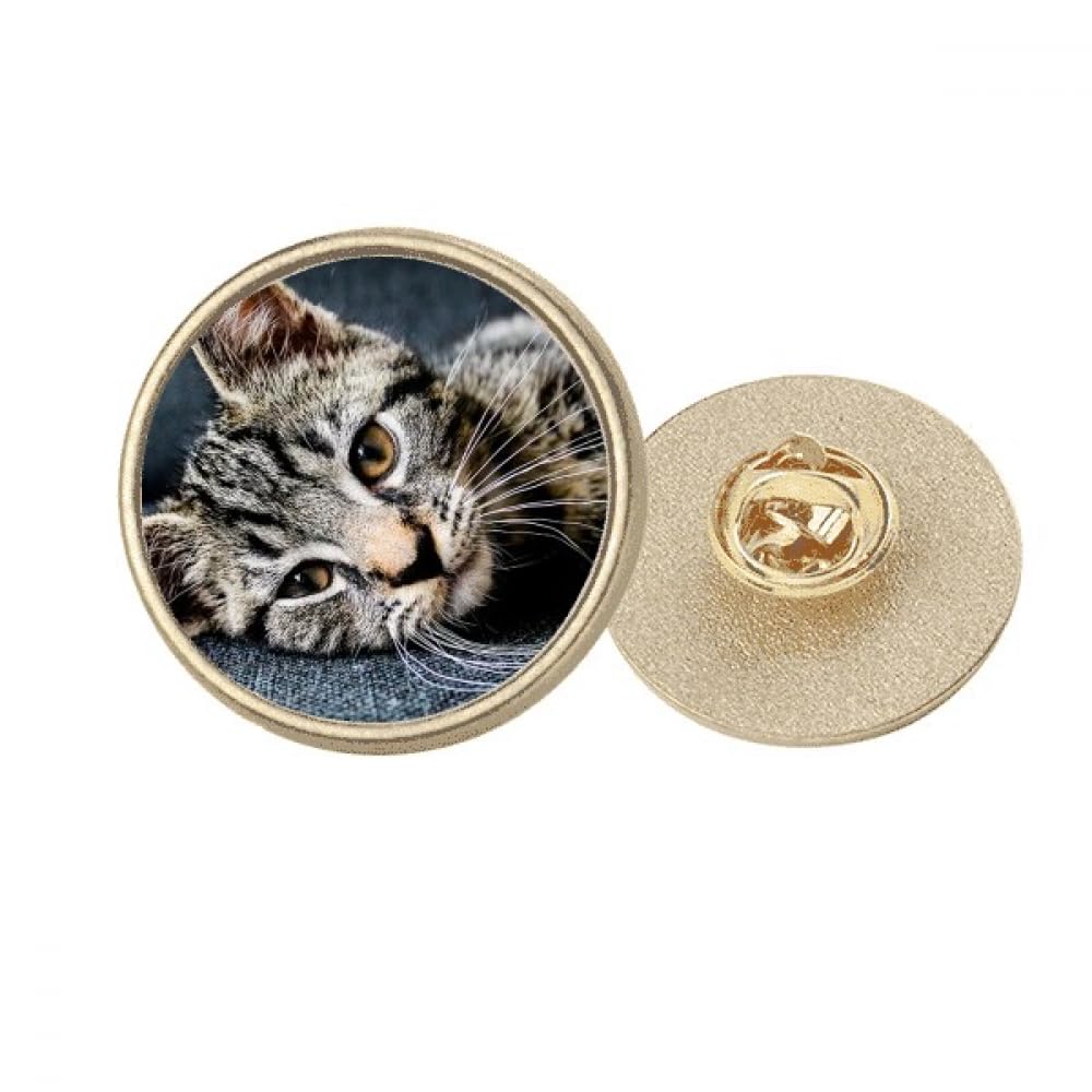 Broche chat en métal doré à rayures taille M pour vêtements - 4