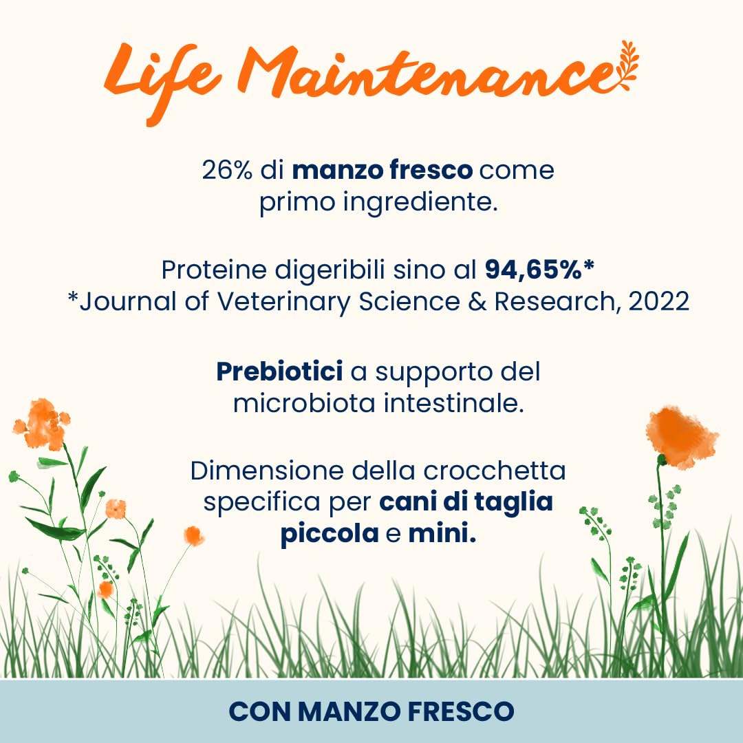 Almo Nature Life Maintenance Cibo Secco per Cane XS-S al Manzo 2 kg Crocchette Complete per Cani Adulti di Taglia Piccola