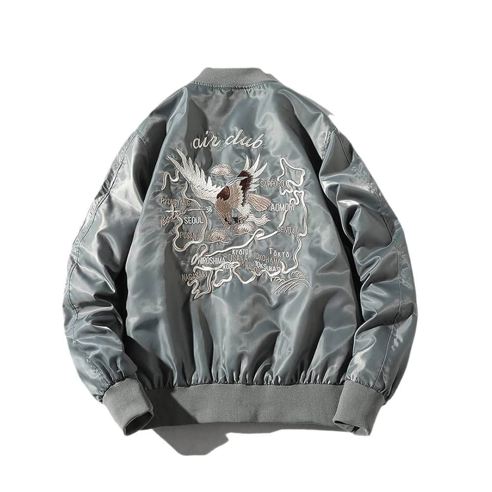 Amazon.com: Men Spring Autumn Bomber Jackets Embroidered