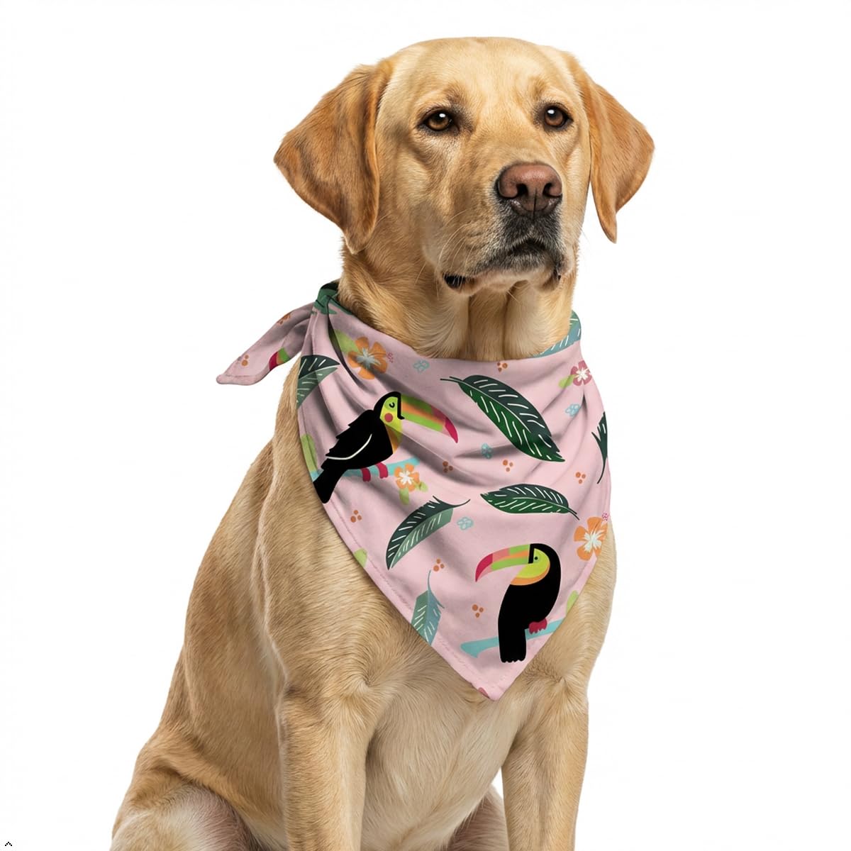 Dog Bandana for Small, Medium & Large Dogs | Premium Cotton Blend Tie-On Bandana | Soft, Washable & Comfortable Pet Neck Scarf | Stylish Dog Accessory — image 1