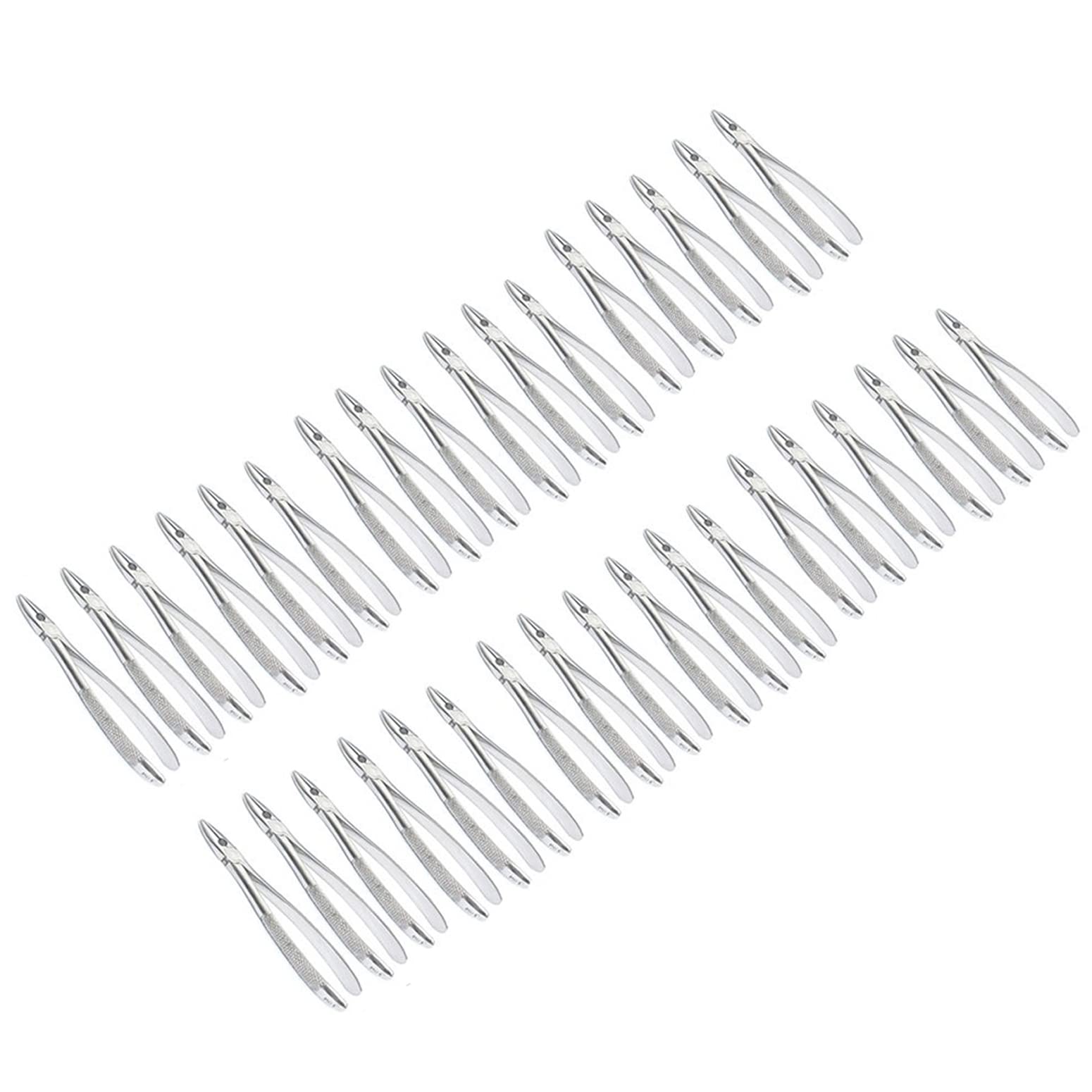 AAPROTOOLS Set of 24 Dental EXTRACTING Forceps #MD1 Dental Extraction Instruments A+ Quality