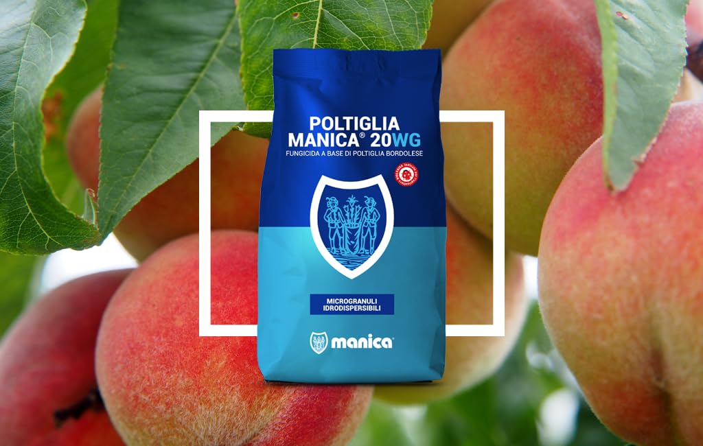 Poltiglia Bordolese 20wg Manica fungicida bio kg 10