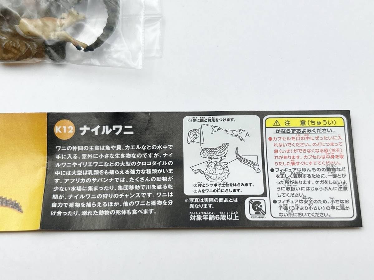 Amazon | 〓海洋堂〓チョコQ アニマテイルズ どうぶつ奇想天外!編