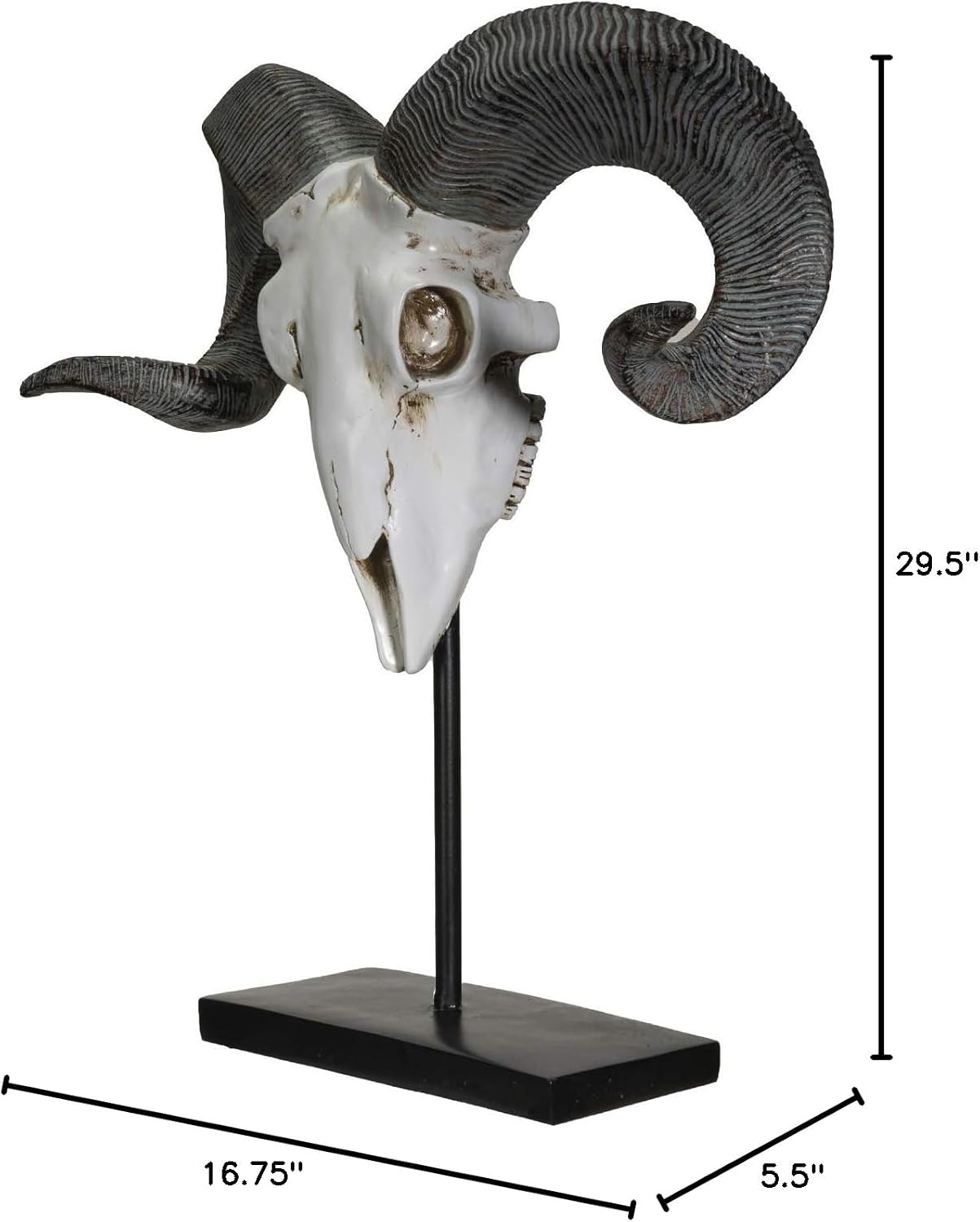 SUMMIT COLLECTION Polystone Corsican Ram Skull and Horns on Metal Stand Home Decorative Accent Faux Taxidermy Animal 29.5 Inches Tall