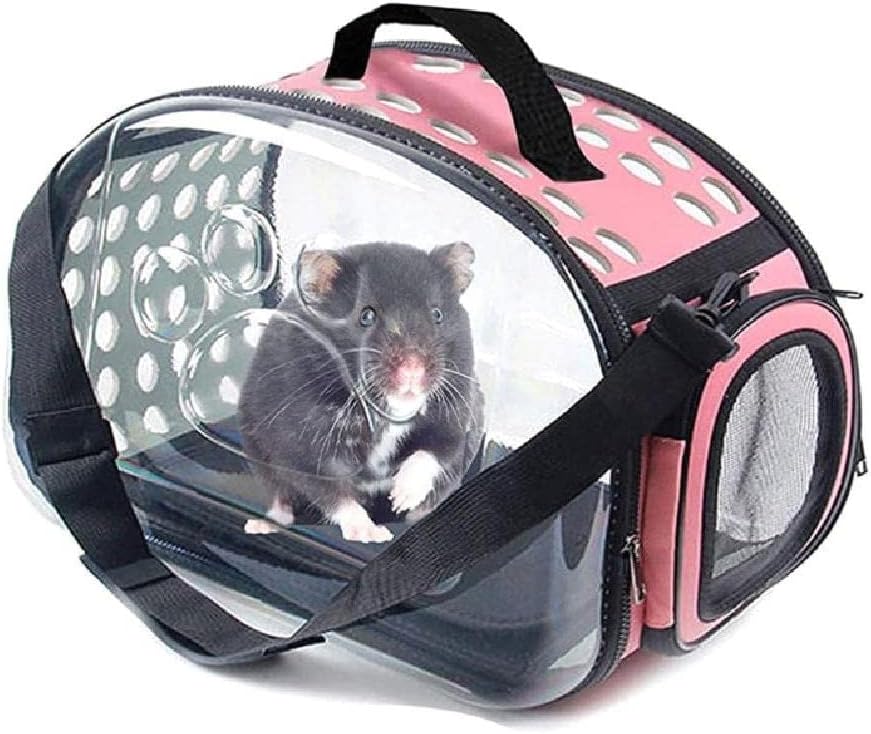 HandheldCarrier for Small Pet Ventilable Transparent Carry