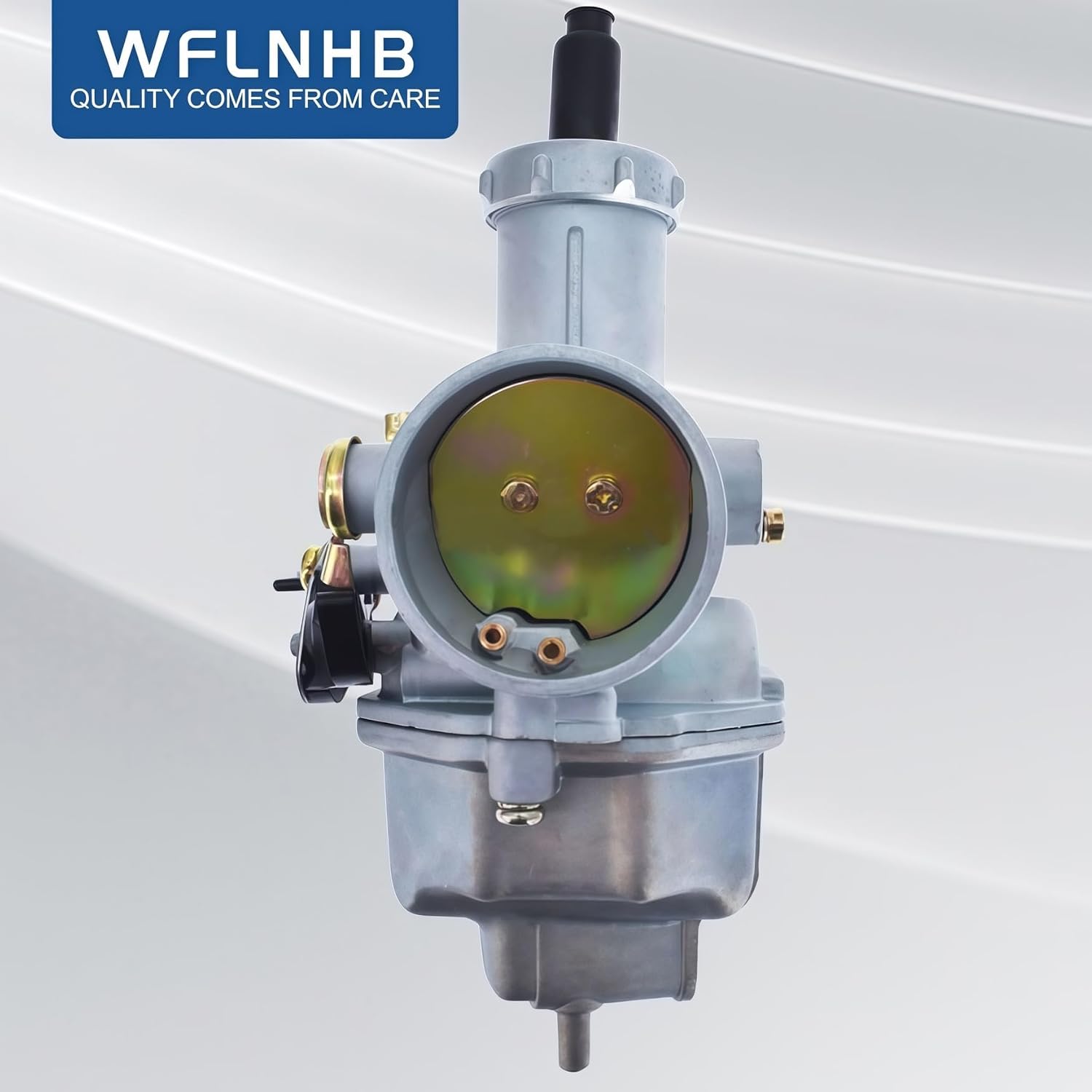 WFLNHB Carburetor Replacement for HaoSen RPS 250cc Dirt Bike HS 250 Carb