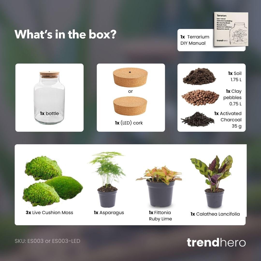Pflanzen Terrarium aus Glas, Deko für Büro, Milky, Ø 21x30 cm Set mit LED