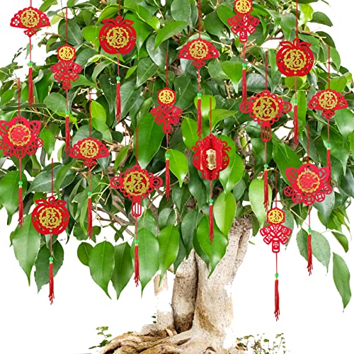 Cieovo 36 Stück chinesische Neujahrsdekorationen Ornamente roter chinesischer Knoten Anhänger traditionelle Lucky Fu hängende Ornamente für Neujahr Home Office Baum Frühling Festival Dekorationen Cover