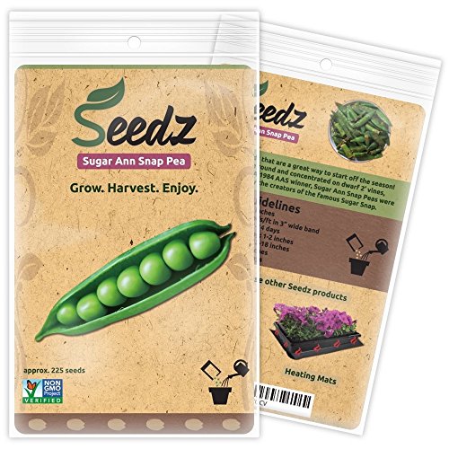 Organic Pea Seeds, APPR. 225, Sugar Ann Snap Pea, Heirloom
