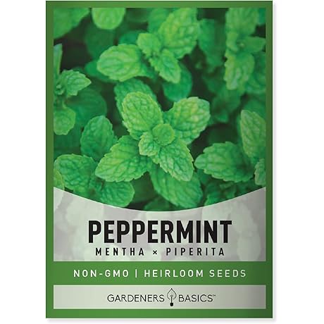 Gardeners Basics Peppermint Seeds: Flourish Your Indoor Herb Garden