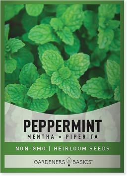Gardeners Basics, Peppermint Seeds for Planting is A Heirloom, Open-Pollinated, Non-GMO Herb Variety- Great for Indoor and Outdoor Gardening and Herbal Tea Gardens