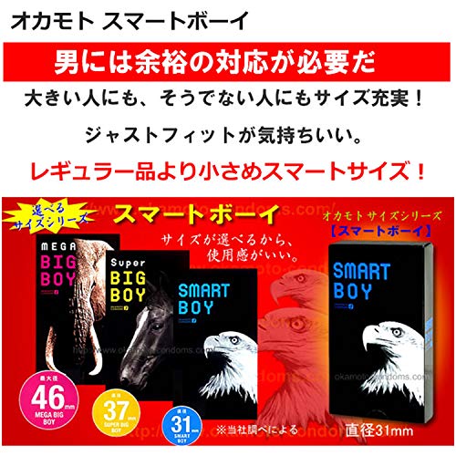 【３個セット】 スマートボーイ 12個入 ×３個セット - 画像3