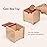 Adena Montessori Infant Toddlers Coin Box Montessori Toys for 6-12 Months Babies 1 Year 2 Year Old Natrual Wood