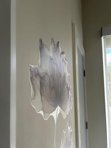 Review Image by Amazon Customer
