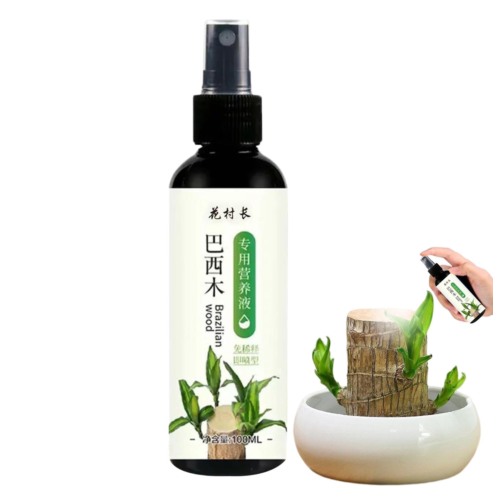 Alimento para plantas de madera brasileña, fertilizante líquido de bambú de 100ml, fertilizante para plantas de interior de madera brasileña de la suerte, fertilizante líquido para plantas de interior