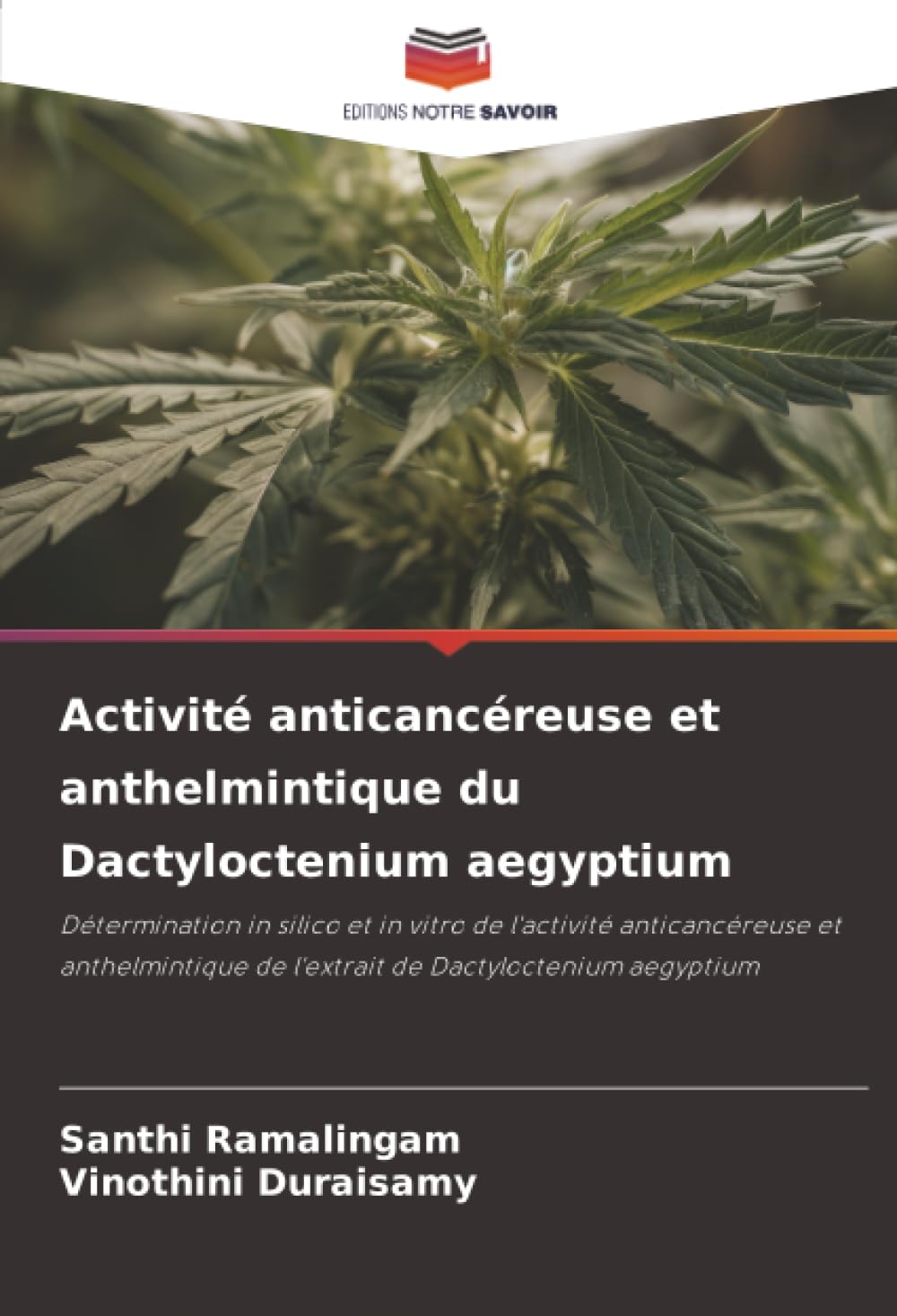 Activité anticancéreuse et anthelmintique du Dactyloctenium aegyptium: Détermination in silico et in vitro de l'activité anticancéreuse et anthelmintique de l'extrait de Dactyloctenium aegyptium